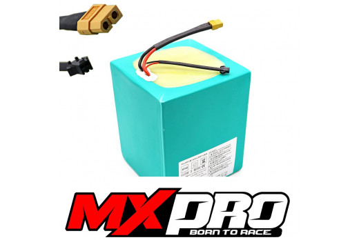 XTREME ELECTRIC XTM MX-PRO 48V 1500/1600W LITHIUM REPLACEMENT BATTERY 13AH